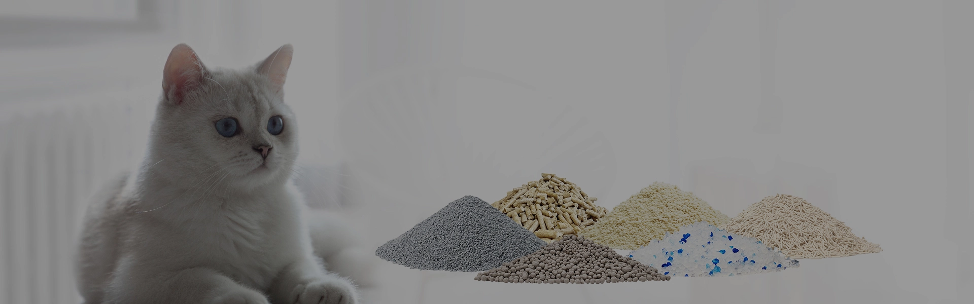 Cat Litter OEM, ODM Customization