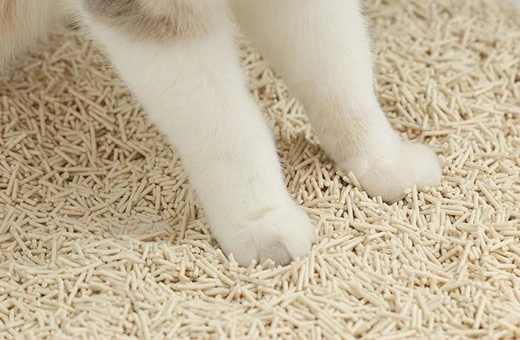 clumping-tofu-cat-litter