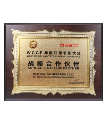 strategic-partner-award-at-the-wccf-annual-joint-commendation-conference
