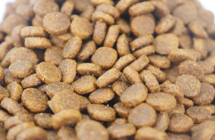 extruded-kibbles-in-china