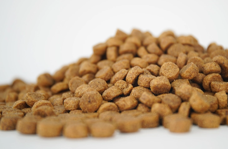 extruded-kibbles-price
