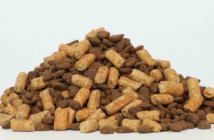 freeze-dried-kibbles-for-sale