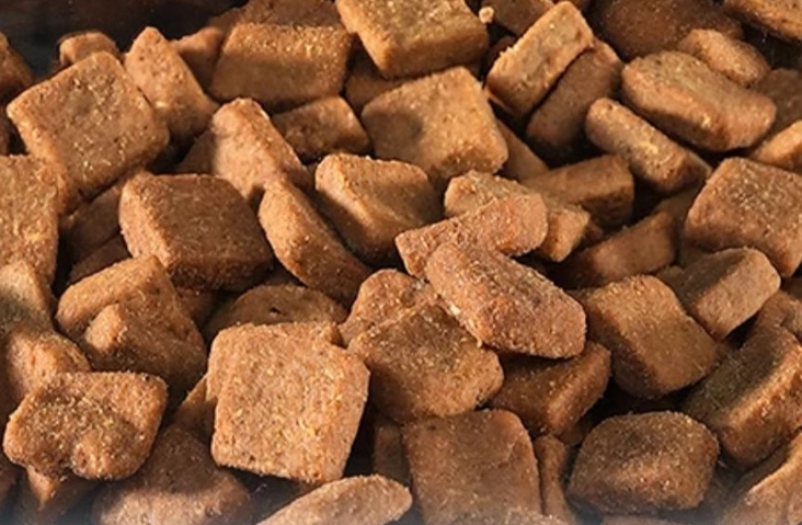 oven-baked-kibble-price