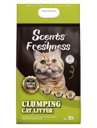 sof-cat-litter-for-sale
