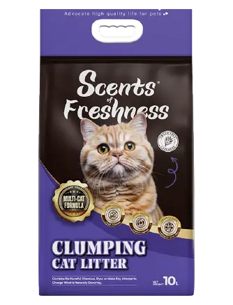 sof-cat-litter