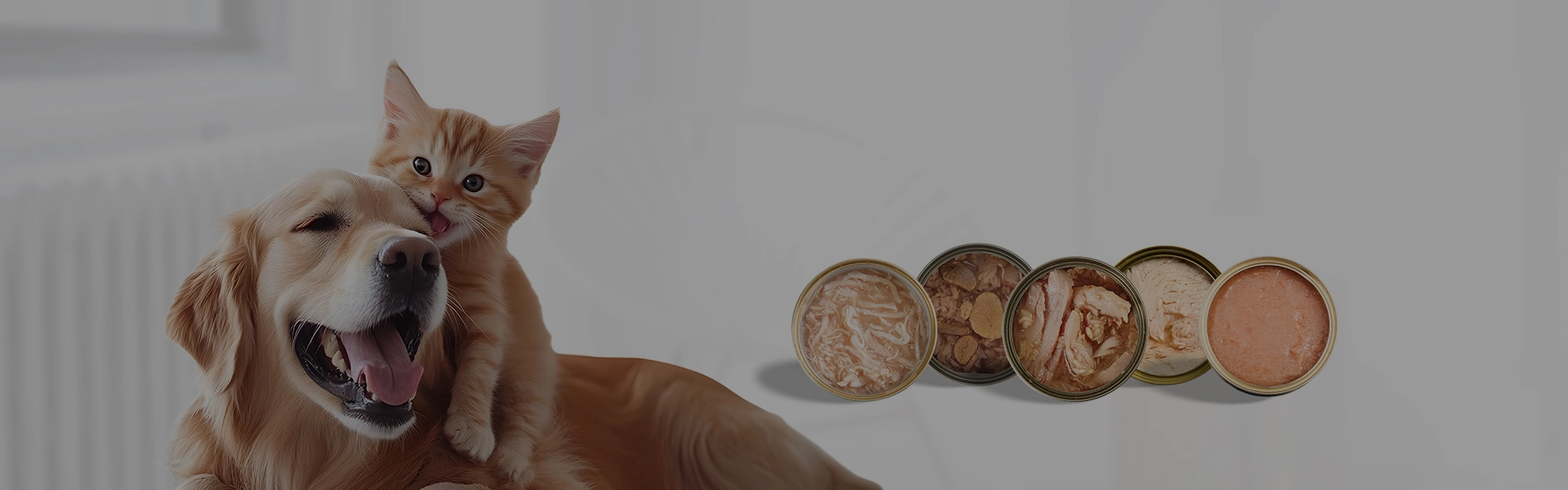 Wet Food For Sale