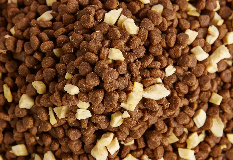 Dry Food
