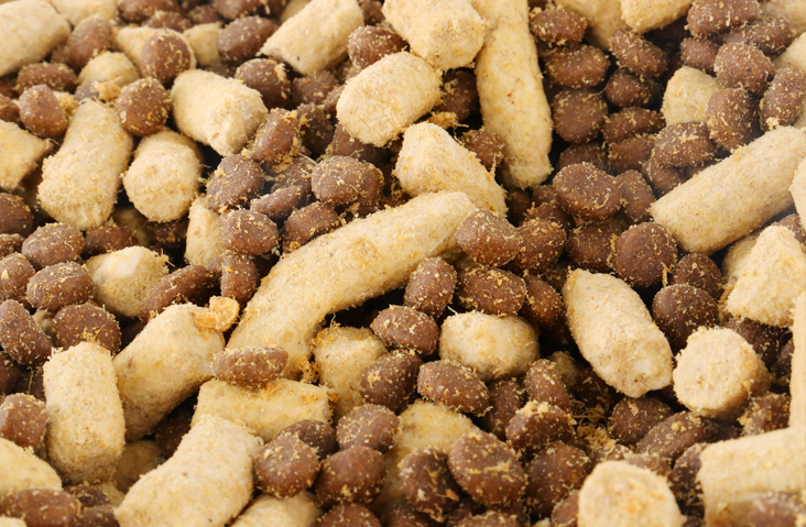 freeze dried kibbles
