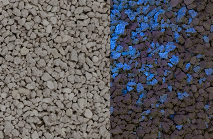 UV Attractant Cat Litter