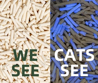 UV Attractant Cat Litter