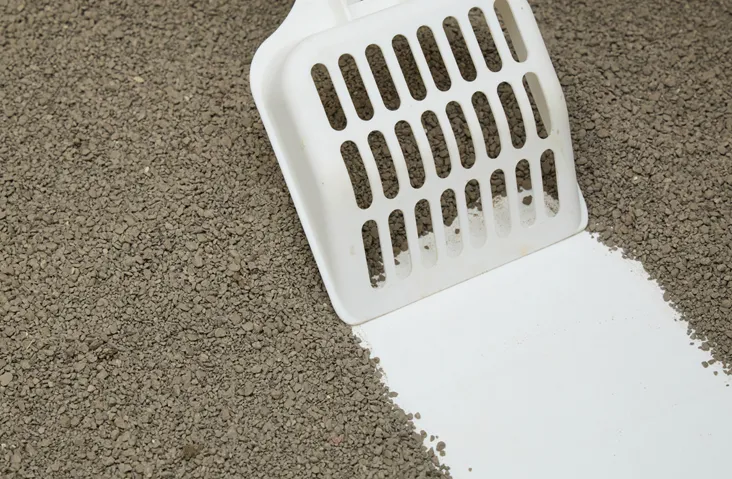 Natural Bentonite Cat Litter